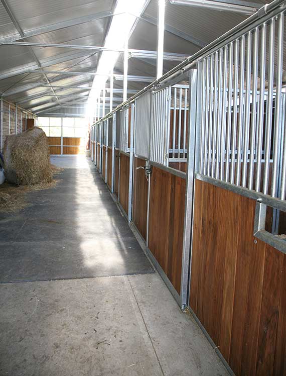 barn, une seule rangée de boxes
